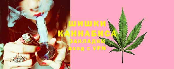 стаф Болхов