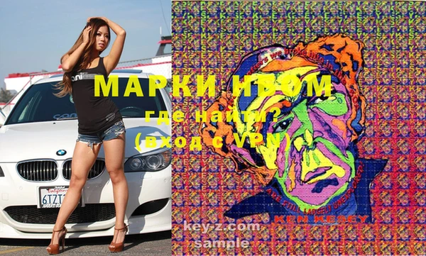 стаф Болхов