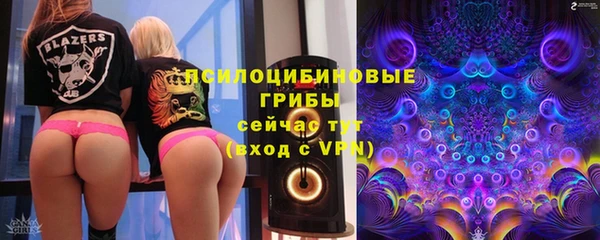 наркотики Болотное