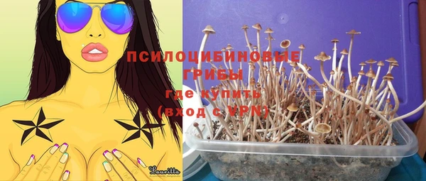 марки nbome Новозыбков
