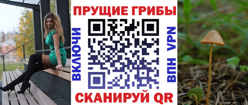 blacksprut рабочий сайт  Краснообск  Псилоцибиновые грибы Psilocybe 